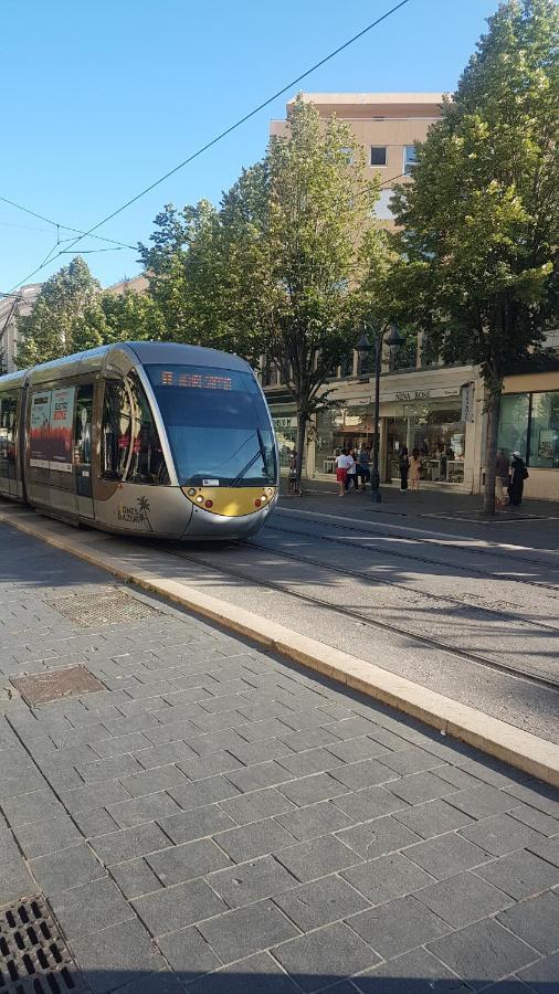 New Cheap Private Room, Kitchen , Overwieuw Sea,Tram On Spot, 12 Minutes From Nice Train Station With Tram , Beach In 17 Min Tram , Chambre Privee Pas Cher, Cuisine Equipee , Tram Sur Place, Apercu Mer, 12 Min De La Gare De Nice Avec Le Tram, 17 Min Dış mekan fotoğraf